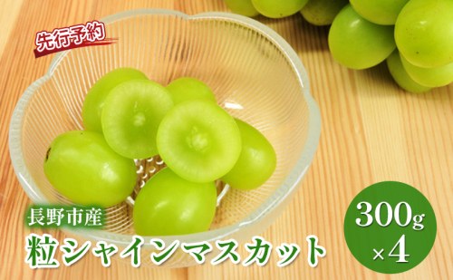 2026年産 粒シャイン300g×4　シャインマスカット 果物類 ぶどう フルーツ 果物 長野市 2412802 - 長野県長野市