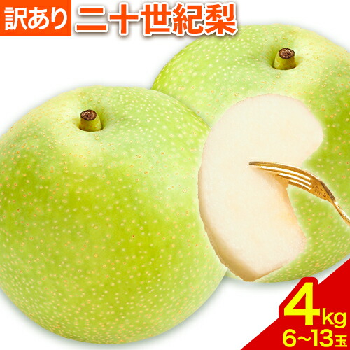【2026年先行予約】【訳あり】二十世紀梨 約4kg (6～13玉) L～5Lサイズ 《2026年8月下旬-10月上旬頃出荷予定》鳥取県 八頭町 梨 なし ナシ 果物 フルーツ ご家庭用　　先行予約　ふるさと納税　送料無料　甘い　果実　果汁　デザート 2413028 - 鳥取県八頭町