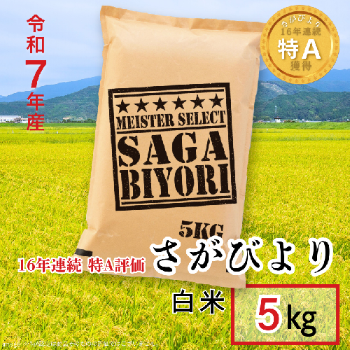 五つ星お米マイスターが厳選！令和7年産 佐賀県産 さがびより 白米 5kg おこめ 米 ：B175-017 2413058 - 佐賀県佐賀市