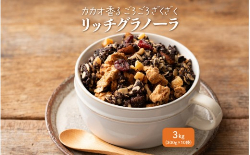 贅沢リッチグラノーラ 3kg(300g×10袋) 2413248 - 静岡県静岡市