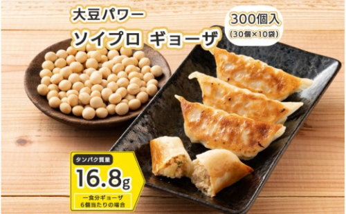 大豆パワー ソイプロギョーザ 300個(30個入×10袋) 2413267 - 静岡県静岡市