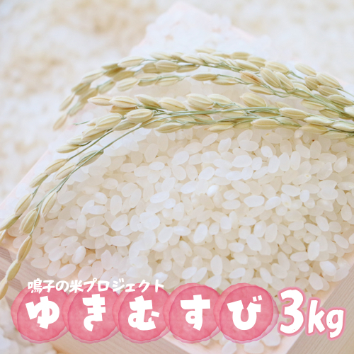鳴子の米プロジェクト ゆきむすび3kg【2025年産】｜宮城県大崎市鳴子温泉産米 2413390 - 宮城県大崎市