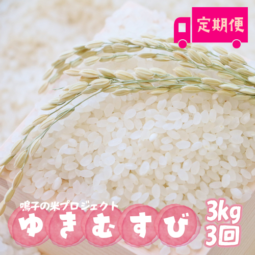 鳴子の米プロジェクト ゆきむすび3kg×3回 定期便【2025年産】｜宮城県大崎市鳴子温泉産米 2413393 - 宮城県大崎市