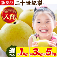 梨 なし[2026年先行予約] 二十世紀梨 選べる 約1kg 約3kg 約5kg[2026年8月下旬-9月下旬頃出荷]二十世紀梨 梨 ご家庭用 旬 二十世紀 鳥取県 八頭町 なし 果物 フルーツ 特産品 送料無料 果汁 デザート 八頭