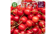 《先行予約》令和8年産 さくらんぼ 紅さやか バラパック 500g（パック含む）Mサイズ 秀品 山形県産【2026年5月下旬頃から6月上旬頃発送予定】※ 配送不可 沖縄・離島　 010-A-JF038
