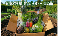 野菜 セット 8 ～ 12品 旬 の 湘南野菜 おまかせ セット お任せ 詰め合わせ 野菜セット やさい やさいセット yasai きゅうり トマト なす ねぎ さといも 小松菜 白菜 玉ねぎ とまと キュウリ ヤサイ 旬の野菜セット 新鮮 数量限定 亀井農園 神奈川 湘南 藤沢