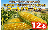 とうもろこし ゴールドラッシュ 12本 朝採り とれたて トウモロコシ 先行予約 2026年6月発送 コーン 新鮮 ジューシー 甘い ko-n こーん 美味い おやつ とうきび 国産 旬 夏野菜 野菜 やさい 数量限定 農家直送 産地直送 神奈川 湘南 藤沢 亀井農園