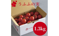＜産地直送＞トマト(約1.3kg) 箱 うふふの実 高糖度フルーツトマト　アイメック＜常温＞【1672591】
