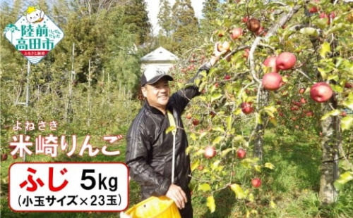 【完熟濃厚】 米崎りんご 品種：ふじ 小玉 約5kg 23玉 【 りんご 林檎 旬 フルーツ 訳あり 産地直送 個数限定 数量限定 】 RT3265 2414111 - 岩手県陸前高田市