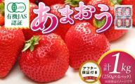 有機あまおう250g×4パック _ 有機 あまおう 250g 4パック 計 1000g オーガニック いちご ストロベリー 特別栽培 認証 アフター保証付き 安心 安全 やさしい甘み 香り ジューシー 果物 果汁 フルーツ スイーツ デザート 冷蔵 お取り寄せ 福岡県 久留米市 送料無料 _Fi078