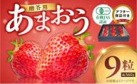 贈答用有機あまおうギフト9粒（約360g） _ 贈答用 有機 あまおう ギフト用 9粒 約 360g オーガニック いちご ストロベリー 特別栽培 認証 アフター保証付き 安心 安全 上品な甘さ 艶 ジューシー 果物 果汁 フルーツ スイーツ デザート 冷蔵 贈り物 お取り寄せ 福岡県 久留米市 送料無料 _Fi079