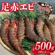 足赤エビ 500ｇ【国産 えび 天然 ぷりぷり 海鮮 水揚げ 生食可】 015B593