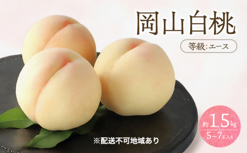 桃 2026年 先行予約 白桃 等級 エース 約1.5kg 5～7玉入り もも モモ 岡山 国産 フルーツ 果物 桃茂実苑 2414246 - 岡山県瀬戸内市