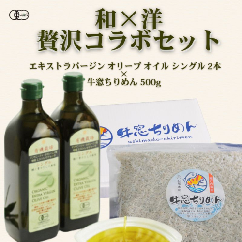 有機オリーブオイル×瀬戸内ちりめん“和×洋”贅沢コラボセット オーガニック 調味料 油 オリーブ油 食用油 ちりめんじゃこ 牛窓 ちりめん 瀬戸内海産 2414287 - 岡山県瀬戸内市
