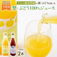 地元農家が作る つくばみらい市産 梨 を使った 梨ジュース・ぶどうジュース 720ml 2本セット 果汁100％ 朝食 飲み物 飲料 果実飲料 フルーツ 果物 ドリンク やわら飯塚農園