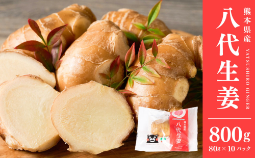 八代生姜80g×10パック 合計800g しょうが ショウガ ガリ ジンジャー 野菜 食品 薬味 生姜焼き しょうが焼き 温活 冷え性 対策 熊本県 八代市 東陽町 産地直送 国産 2414596 - 熊本県八代市