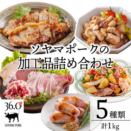 ソヤマポークの加工品詰め合わせTF862ーP00078 2414648 - 宮崎県高原町