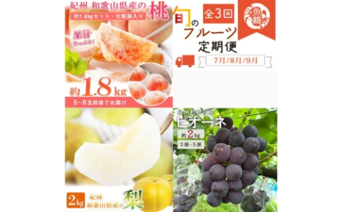 全3回 フルーツ定期便（桃7月、梨8月、ピオーネ9月発送）｜ 和歌山県産 モモ ナシ ぶどう 旬 果物 2414653 - 和歌山県美浜町