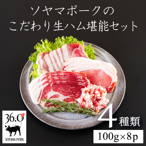 ソヤマポークの生ハム堪能セット[熟成肩ロース ロース モモ パンチェッタ 4種類] TF864ーP00078 2414655 - 宮崎県高原町