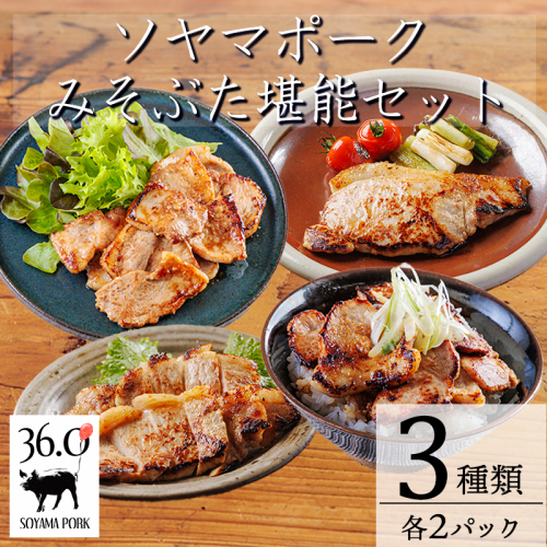ソヤマポークのみそぶた堪能セット[特製味噌漬け ロース モモ おかず お弁当]TF866ーP00078 2414658 - 宮崎県高原町