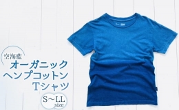 【ふるさと納税】空海藍オーガニックヘンプコットンTシャツ（男女兼用） シャツ Tシャツ 藍染 男女兼用 オーガニック ヘンプ コットン 藍