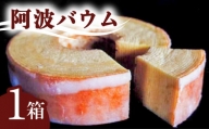 銘店きもとやの「阿波バウム」（１箱）  バウムクーヘン 阿波バウム 1個 菓子 洋菓子 焼菓子