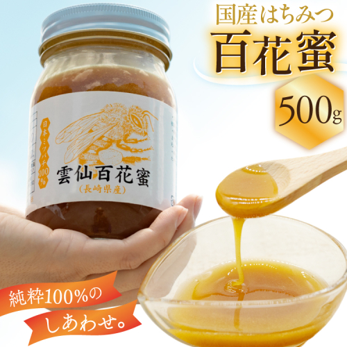 AJ445 はちみつ 国産 百花蜜 500g 1個 日本ミツバチ 純粋 100% [ 安中梅林を育てる会 蜂蜜 ハチミツ 非加熱 無添加 長崎県 島原市 ] 2414991 - 長崎県島原市