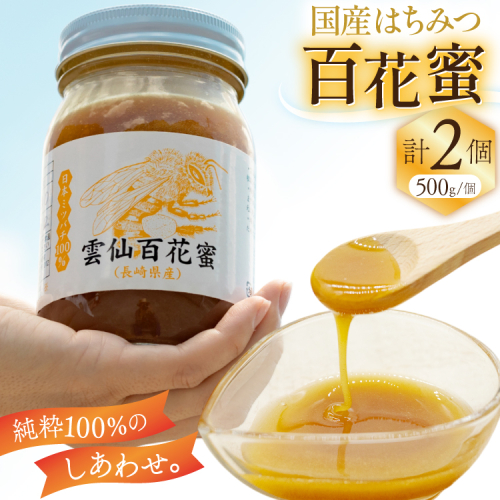 AJ446 はちみつ 国産 百花蜜 500g 2個 日本ミツバチ 純粋 100% [ 安中梅林を育てる会 蜂蜜 ハチミツ 非加熱 無添加 長崎県 島原市 ] 2414992 - 長崎県島原市