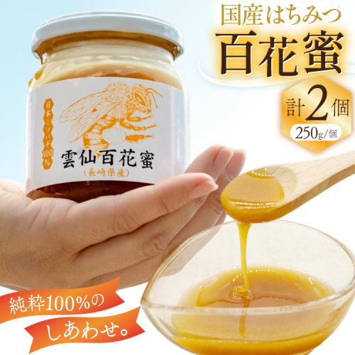 AJ444 はちみつ 国産 百花蜜 250g 2個 日本ミツバチ 純粋 100% [ 安中梅林を育てる会 蜂蜜 ハチミツ 非加熱 無添加 長崎県 島原市 ] 2414994 - 長崎県島原市