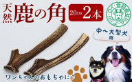 【犬のおもちゃ】シカの角 20cm×2本　中型犬～大型犬用　鹿 シカ ジャーキー 犬 ペット ワンコ ワンちゃん おもちゃ 角 ツノ インテリア 飾り 置き物 おすすめ 天然 野生 肉 ジビエ 国産 ごほうび 健康 噛む 噛み癖 ストレス ひまつぶし 歯 歯みがき 歯垢 歯石除去 工作 芸術 中型犬  大型犬 房総 千葉県
