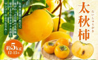 【先行予約】伊藤園 太秋柿 12玉から15玉 約5kg 【2026年10月下旬から出荷予定】 ／ 富有柿 柿 果物 フルーツ くだもの うきは市