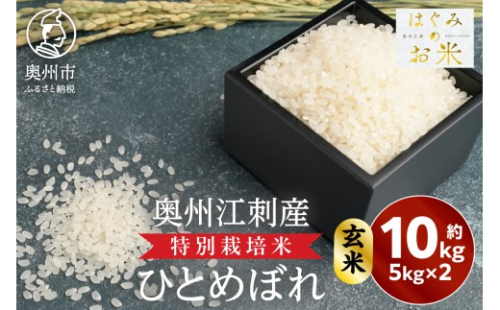 特別栽培米 hugmiのお米 奥州江刺産 ひとめぼれ 約10kg(約5kg×2袋) 玄米 数量限定 ツヤ 粘り 冷めても美味しい ご飯 お米 おにぎり お弁当 岩手県 奥州市 [BJ007] 2415650 - 岩手県奥州市