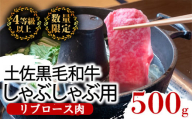 土佐 黒毛 和牛 しゃぶしゃぶ用 500g | 特撰 リブロース肉 最上位等級 A4 A5 最高ランク 贅沢 しゃぶしゃぶ 鍋 スライス 焼肉用 小分け 冷凍 国産 牛肉 高知県 須崎 TM008-1228