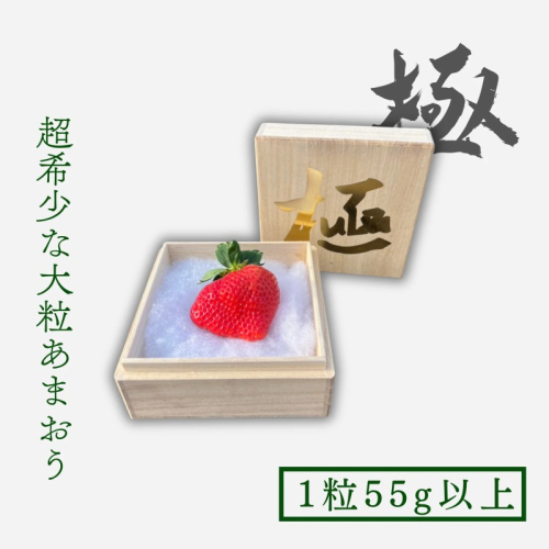 いちご 大粒 あまおう 苺 「極」 1粒55g以上 果物 2417034 - 福岡県朝倉市