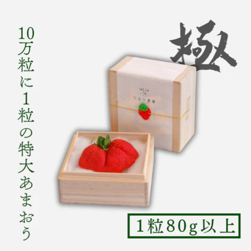いちご 特大 あまおう 苺 「極」 1粒80g以上 果物 2417035 - 福岡県朝倉市