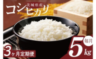 【2026年2月より順次発送】【3回定期便】R7年産 コシヒカリ 5kg｜米 お米 白米 精米 R7年産 令和7年産 こしひかり コシヒカリ 定期便 茨城県 茨城県産 行方市(HA-28)