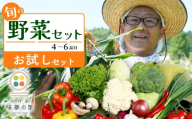 【お試しセット】 野菜セット 4~6種類 詰め合せ 季節の野菜 旬の野菜 野菜箱 野菜ボックス 野菜 セット 旬 国産 おまかせ 特産品 冷蔵 BBQ お試し 春野菜 夏野菜 秋野菜 冬野菜 詰合せ 京都 京都丹波 京丹波町 道の駅 味夢の里