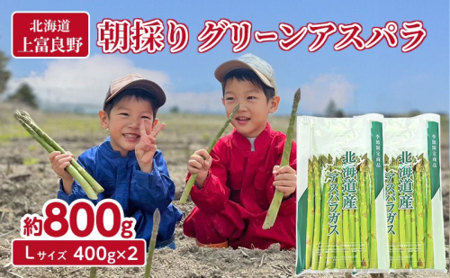 数量限定！【2026年分先行予約】 アスパラガス 専門農家 の 特選 グリーン アスパラ 800g  L サイズ 原農園 アスパラ あすぱら 野菜 北海道 上富良野町 2417118 - 北海道上富良野町