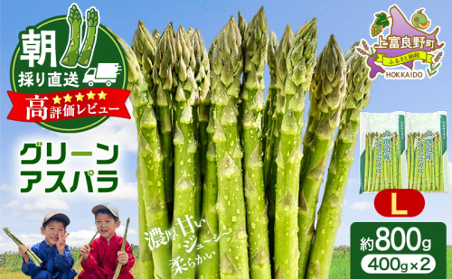 数量限定！	 【令和8年産】 アスパラガス 専門農家 の 特選 グリーン アスパラ 800g  L サイズ 原農園 アスパラ あすぱら 野菜 北海道 上富良野町 2417118 - 北海道上富良野町