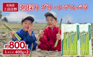 数量限定！ 【令和8年産】 アスパラガス 専門農家 の 特選 グリーン アスパラ 800g  L サイズ 原農園 アスパラ あすぱら 野菜 北海道 上富良野町