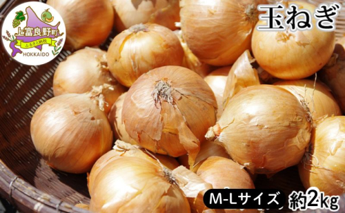 【令和7年産】 北海道 上富良野 玉ねぎ 約2kg（ M-L サイズ ） 野菜 たまねぎ オニオン 産地直送 新鮮 ふらの 2417119 - 北海道上富良野町