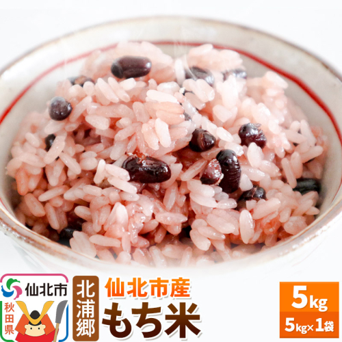 米 仙北市産 令和7年産 もち米 5kg1袋 2417120 - 秋田県仙北市