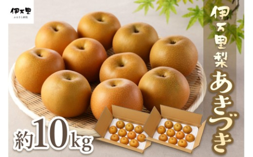 【2026年産先行予約】伊万里梨「あきづき」 約10kg 178-B945【フルーツ 果物 果実 くだもの】 2417337 - 佐賀県伊万里市
