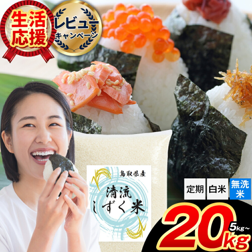鳥取 ふるさと 無洗米 白米 選べる内容量 5kg 10kg 15kg 20kg 清流しずく米《出荷時期をお選びください》鳥取県 八頭町 米 お米 白米 ご飯 八頭 ふるさと無洗米 生活応援 定期便 ブレンド米 複数原料米 訳あり 小分け kome ご飯 2417375 - 鳥取県八頭町