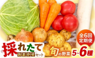 【全6回定期便】採れたてお野菜おまかせセット（5～6種）/ 野菜 やさい 野菜セット 野菜詰め合わせ 詰め合わせ セット / 大村市 / かとりストアー [ACAN127]