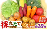【全6回定期便】採れたてお野菜おまかせセット（8～10種）/ 野菜 やさい 野菜セット 野菜詰め合わせ 詰め合わせ セット / 大村市 / かとりストアー [ACAN134]