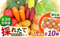 【全3回定期便】採れたてお野菜おまかせ（8～10種）・卵6個セット/ 野菜 やさい 野菜セット 野菜詰め合わせ 詰め合わせ セット たまご 卵 タマゴ 紅たまご こだまさんち / 大村市 / かとりストアー [ACAN136]