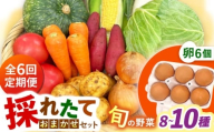 【全6回定期便】採れたてお野菜おまかせ（8～10種）・卵6個セット/ 野菜 やさい 野菜セット 野菜詰め合わせ 詰め合わせ セット たまご 卵 タマゴ 紅たまご こだまさんち / 大村市 / かとりストアー [ACAN137]