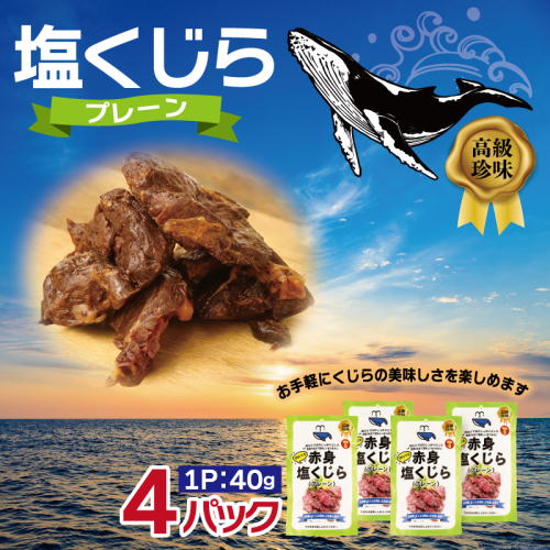塩くじら プレーン 40g×4P【鯨 クジラ 鯨肉 赤身 おつまみ 珍味】 005A745 2417704 - 大阪府泉佐野市