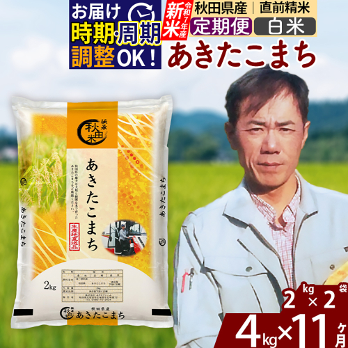 ※令和7年産 新米※《定期便11ヶ月》秋田県産 あきたこまち 4kg【白米】(2kg小分け袋)2025年産 お届け時期選べる お届け周期調整可能 隔月に調整OK お米 みそらファーム 2417811 - 秋田県北秋田市
